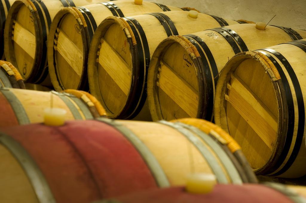 Domaine De La Soucherie - Chambres D'Hotes Beaulieu-sur-Layon Екстериор снимка