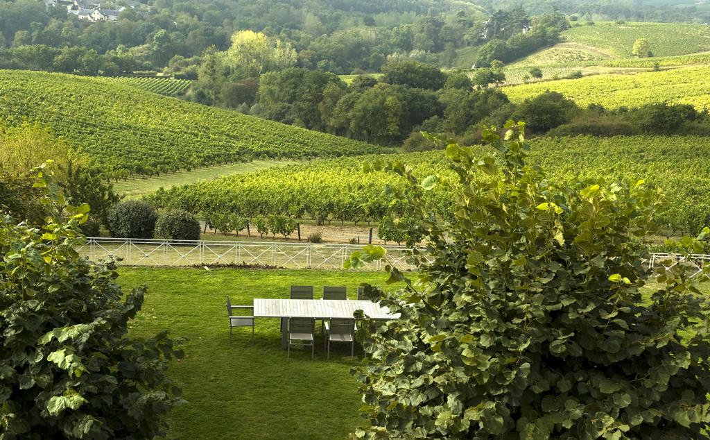 Domaine De La Soucherie - Chambres D'Hotes Beaulieu-sur-Layon Екстериор снимка