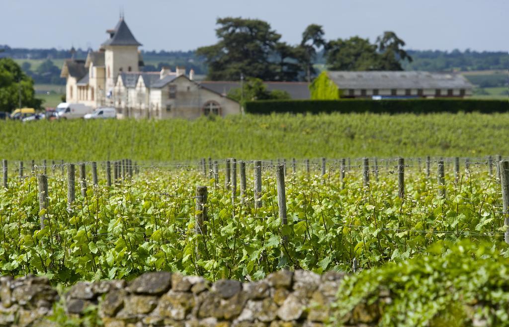Domaine De La Soucherie - Chambres D'Hotes Beaulieu-sur-Layon Екстериор снимка